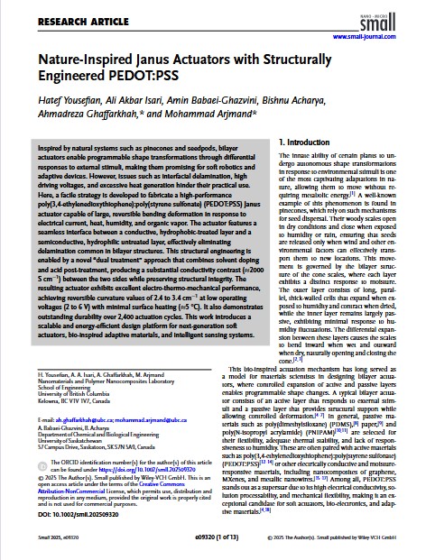 1764110039_Nature-Inspired Janus Actuators with Structurally Engineered PEDOTPSS.jpg